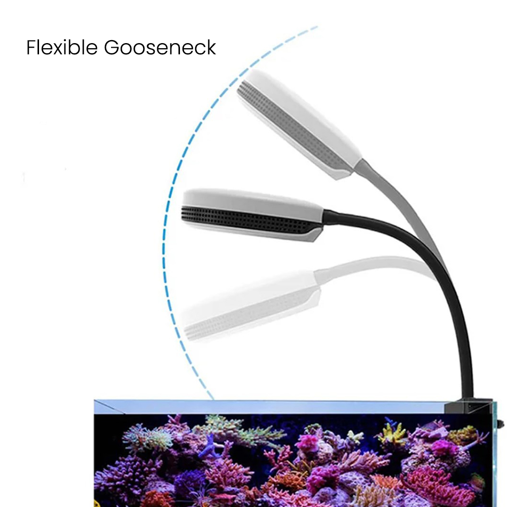 Lampu LED Akuarium Spectra SP2 - Reef Lighting ulasan dan harga