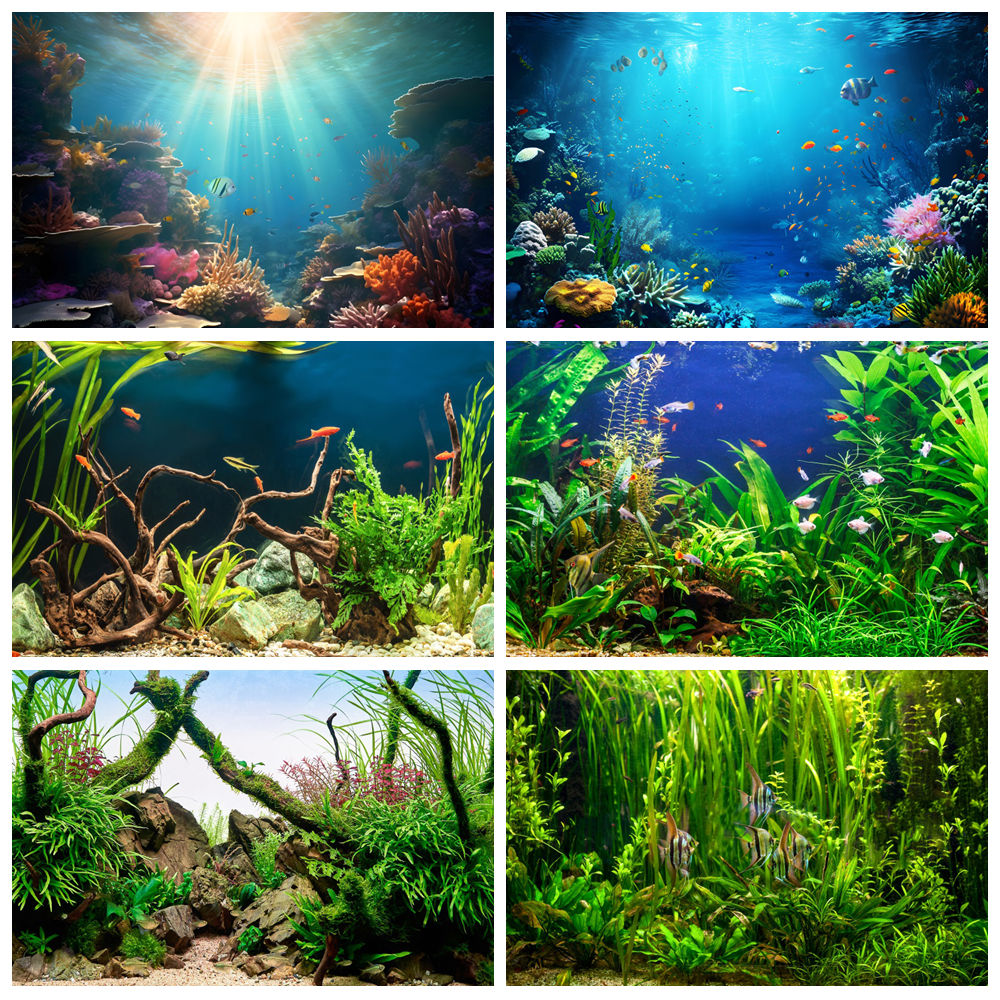 Di bawah laut dasar laut fotog - Aquarium Marine World ulasan dan harga