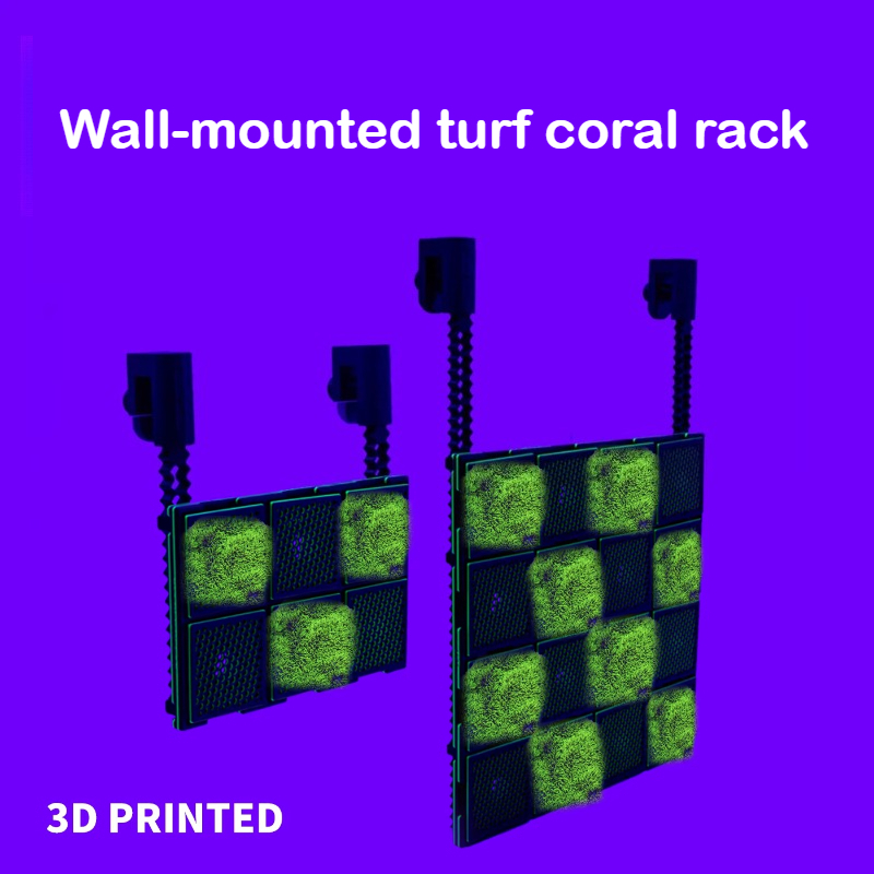 Rak Karang Akuarium DIY Air As - Saltwater Tank ulasan dan harga