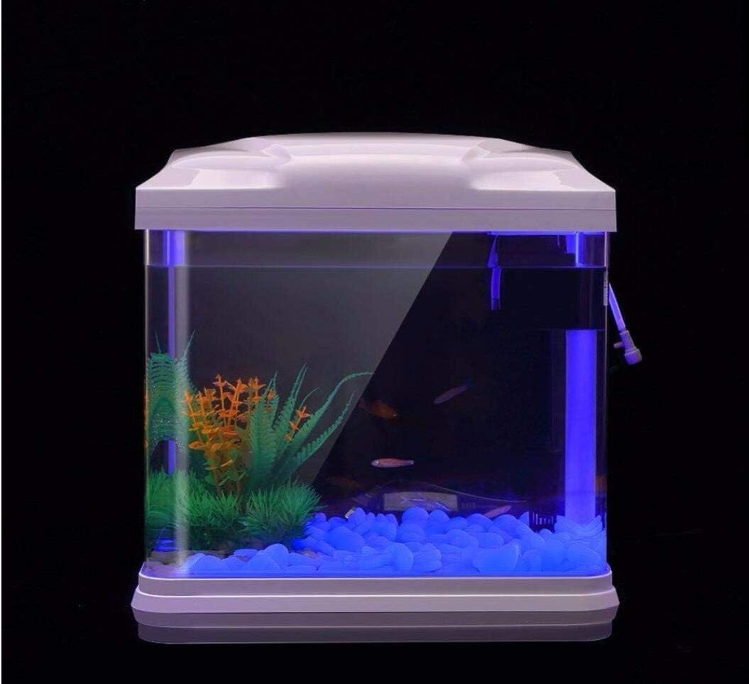 Batu Tangki Ikan Kerikil Biru  - Ocean Aquarium ulasan dan harga