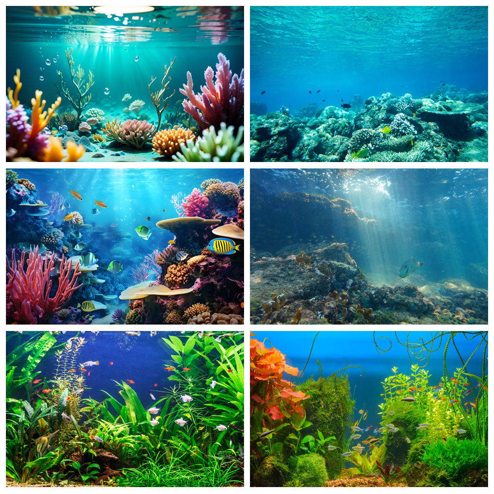 Latar Belakang Fotografi Dasar - Aquarium Marine World ulasan dan harga