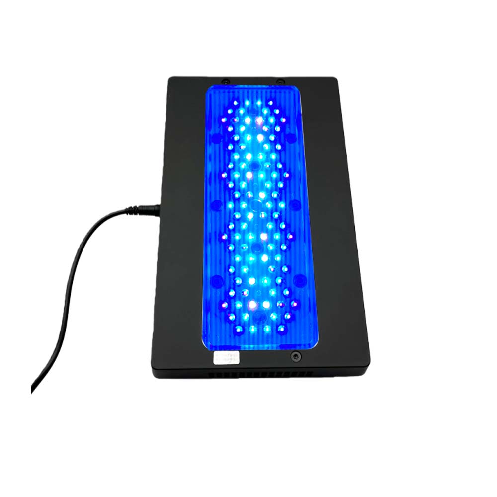 Lampu Akuarium Terumbu Karang  - Reef Lighting ulasan dan harga