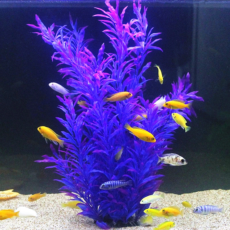 50CM Kolam Ikan Buatan Tanaman - Marine Fish Tank ulasan dan harga