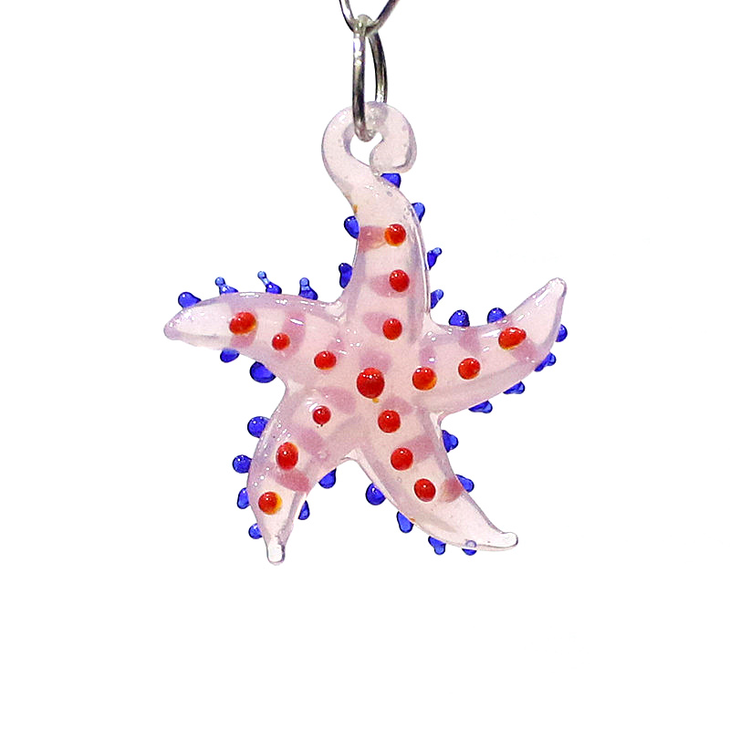 Lucu hewan laut bintang laut p - Marine Aquarium ulasan dan harga